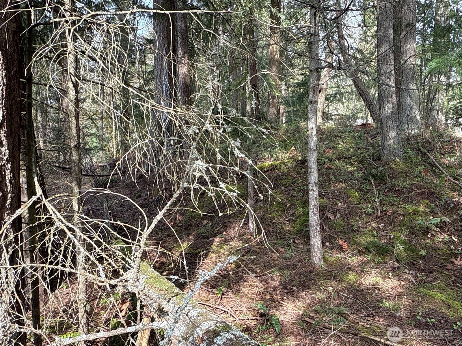 149-xx 175th Avenue Southeast Renton, WA 98059 - Photo 12 of 29