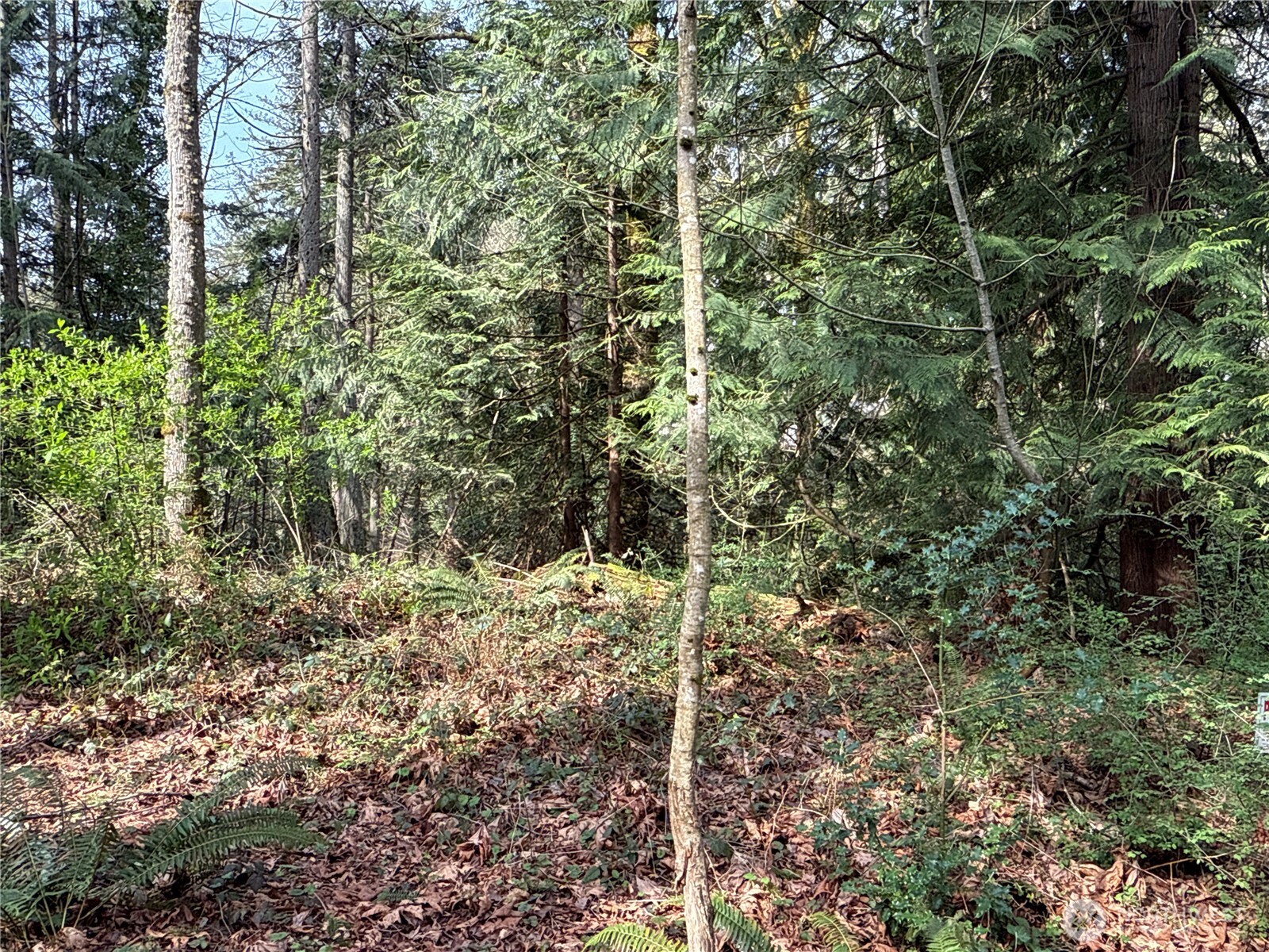 149-xx 175th Avenue Southeast Renton, WA 98059 - Photo 17 of 29