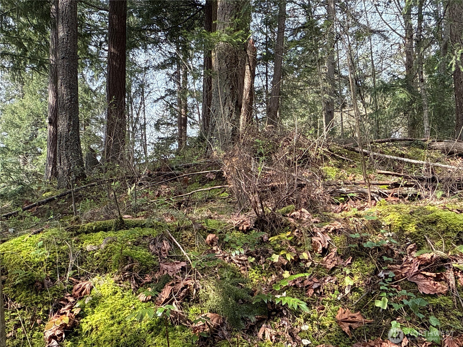 149-xx 175th Avenue Southeast Renton, WA 98059 - Photo 18 of 29