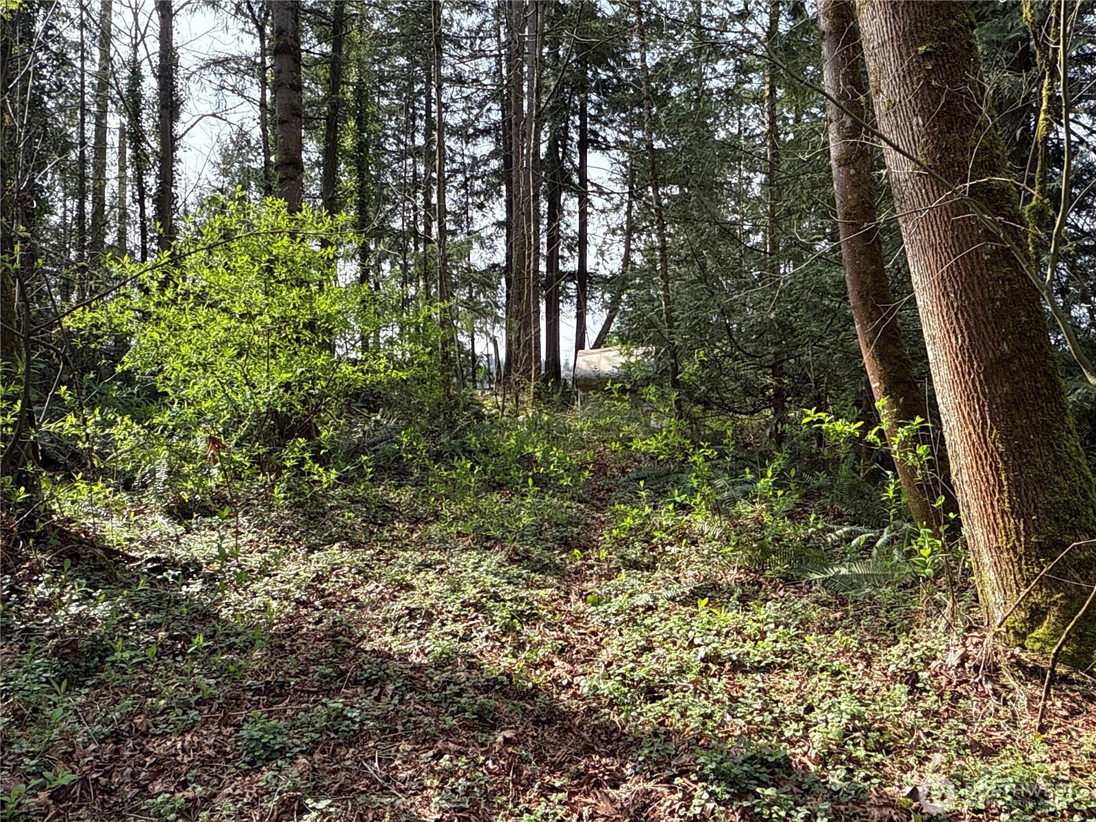 149-xx 175th Avenue Southeast Renton, WA 98059 - Photo 19 of 29