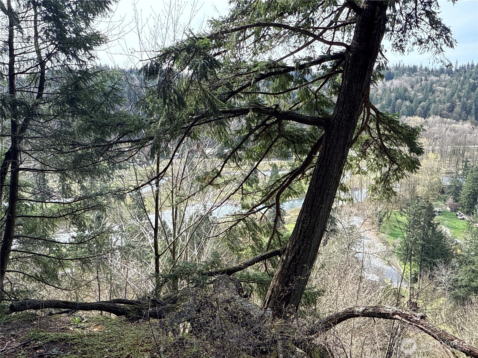 149-xx 175th Avenue Southeast Renton, WA 98059 - Photo 3 of 29