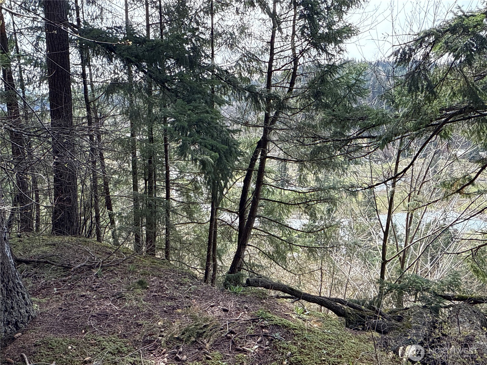 149-xx 175th Avenue Southeast Renton, WA 98059 - Photo 5 of 29