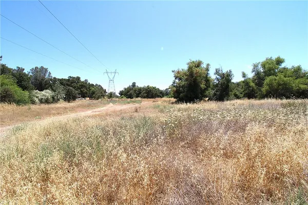 a view of a field with trees in the background