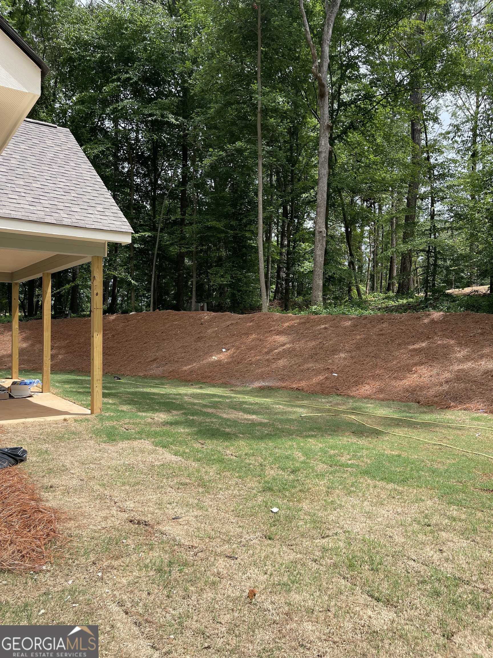 115 Drues Road Bowdon, GA 30108 - Photo 3 of 13 a view of outdoor space and yard