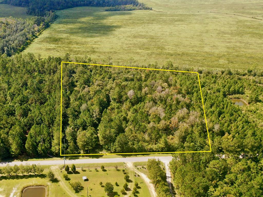 6641 Farm Road Wewahitchka, FL 32465 - Photo 1 of 12