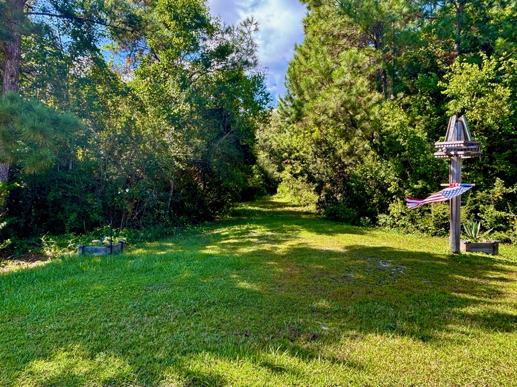 6641 Farm Road Wewahitchka, FL 32465 - Photo 2 of 12