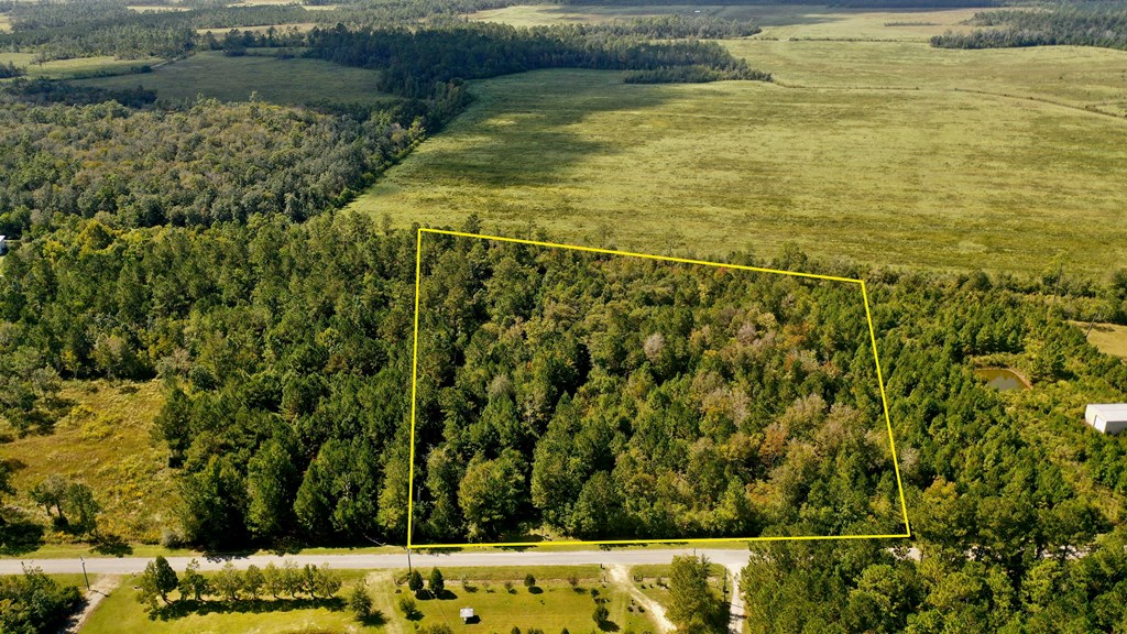 6641 Farm Road Wewahitchka, FL 32465 - Photo 3 of 12