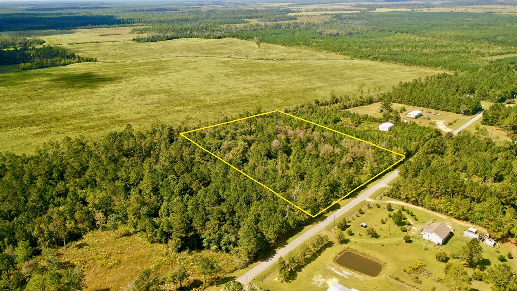 6641 Farm Road Wewahitchka, FL 32465 - Photo 4 of 12