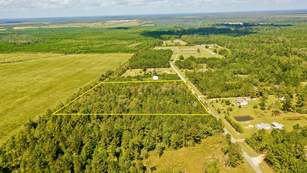6641 Farm Road Wewahitchka, FL 32465 - Photo 5 of 12
