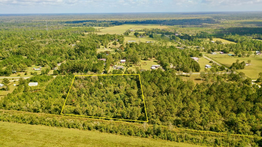 6641 Farm Road Wewahitchka, FL 32465 - Photo 6 of 12