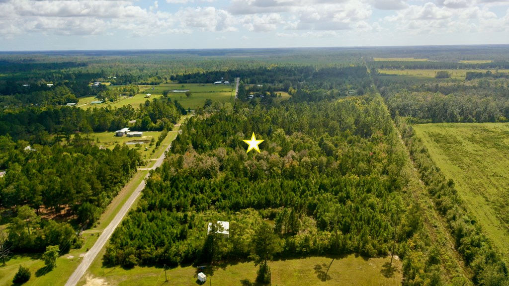 6641 Farm Road Wewahitchka, FL 32465 - Photo 7 of 12