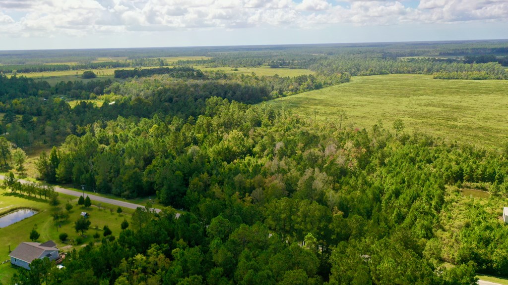 6641 Farm Road Wewahitchka, FL 32465 - Photo 8 of 12