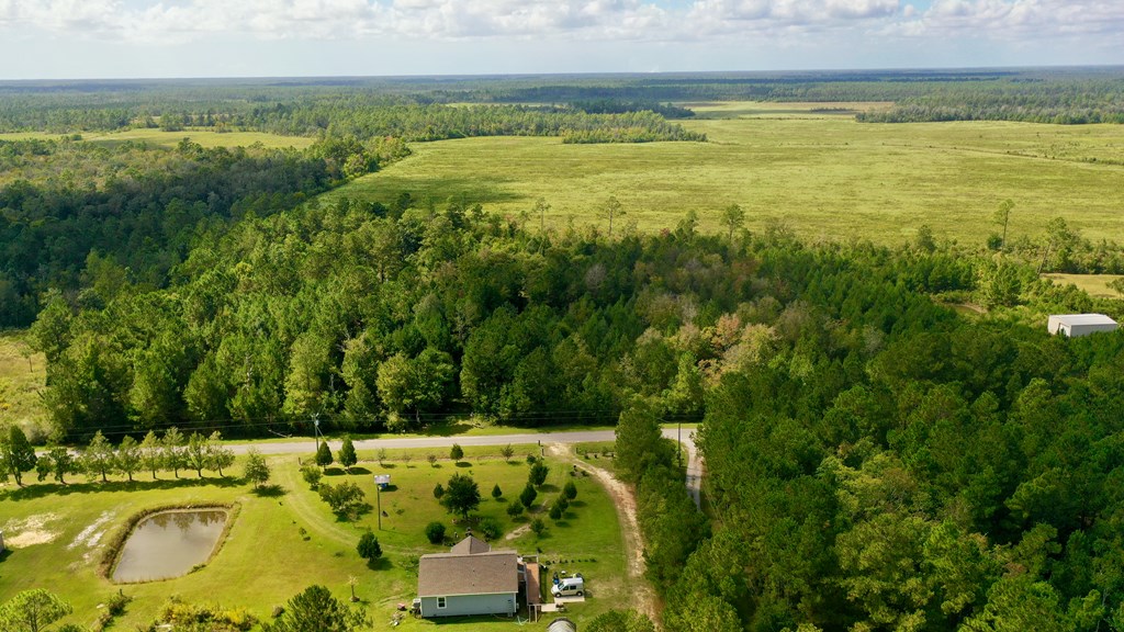 6641 Farm Road Wewahitchka, FL 32465 - Photo 9 of 12