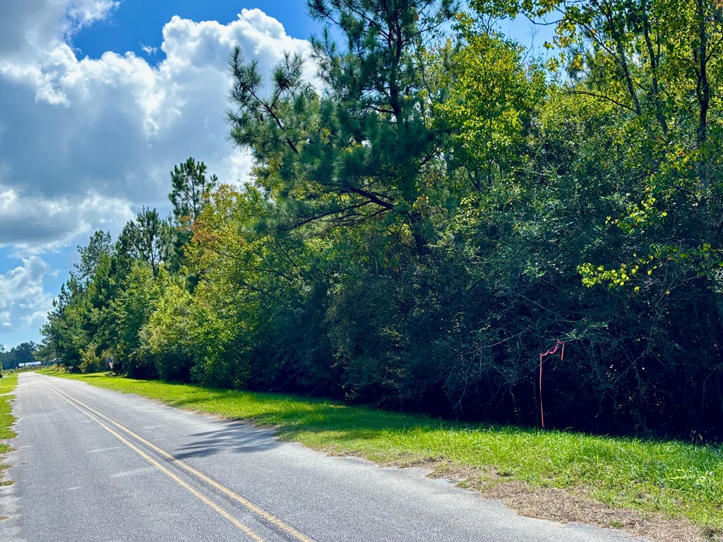 6641 Farm Road Wewahitchka, FL 32465 - Photo 10 of 12