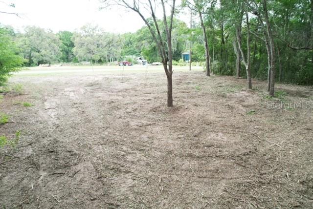 Tbd Southwest Beach Boulevard Dunnellon, FL 34431 - Photo 4 of 12