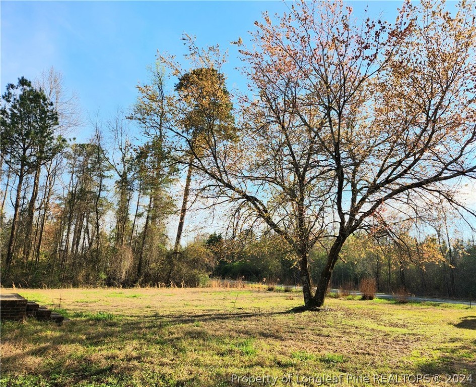 5470 Wade-Stedman Road Wade, NC 28395 - Photo 2 of 6 a view of a yard with large trees