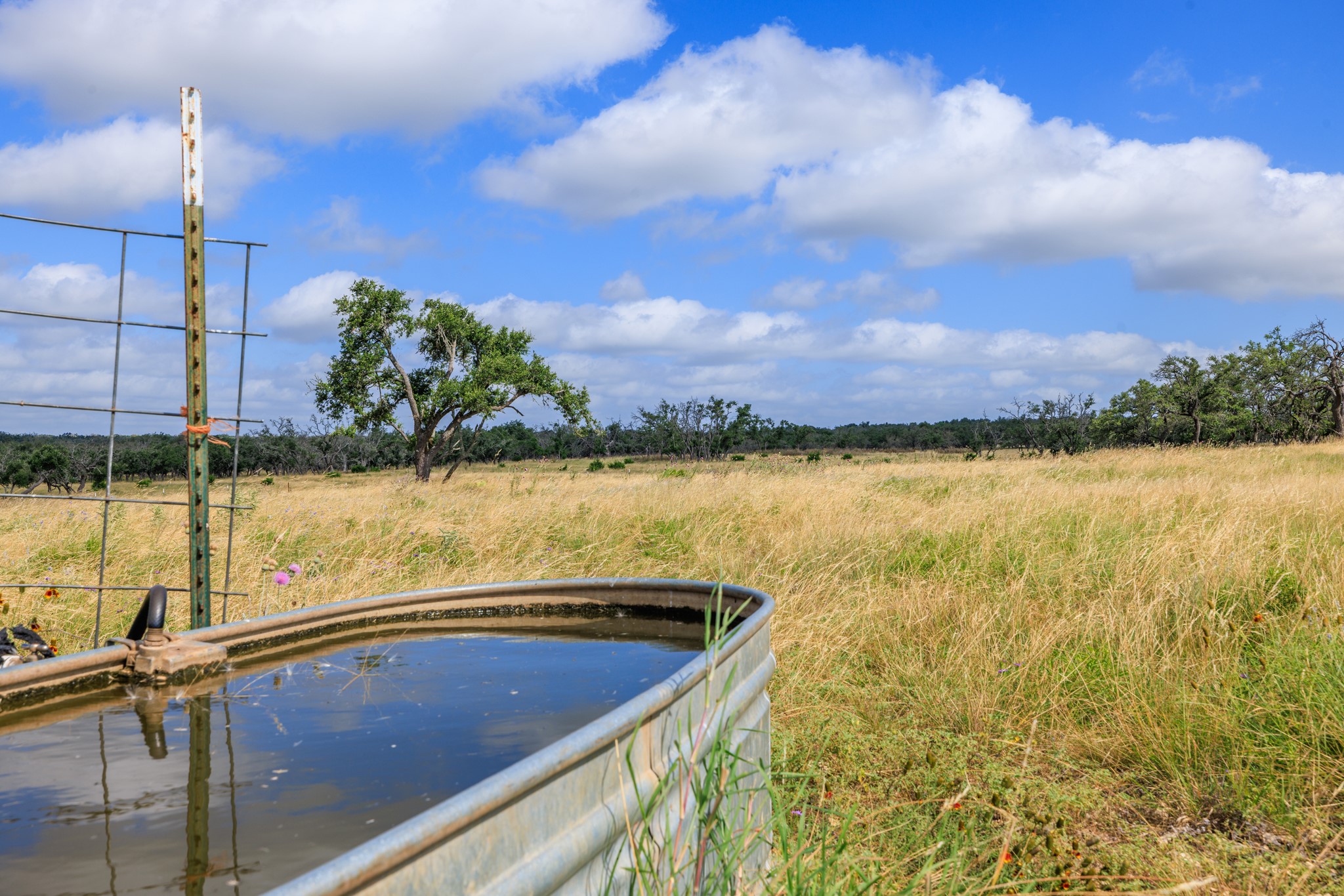 436 Stevens Ranch Road Harper, TX 78631 - Photo 20 of 31 Rolling grassy pastures stretch out under wide blue skies on this expansive rural acreage.