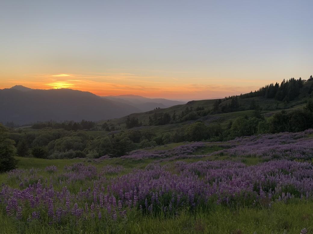 23333 Maple Creek Road Korbel, CA 95550 - Photo 43 of 53