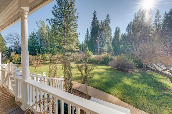 a view of a garden with trees