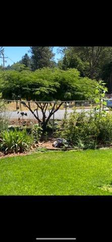 3217 Pleasant Valley Road Placerville, CA 95667 - Photo 65 of 69