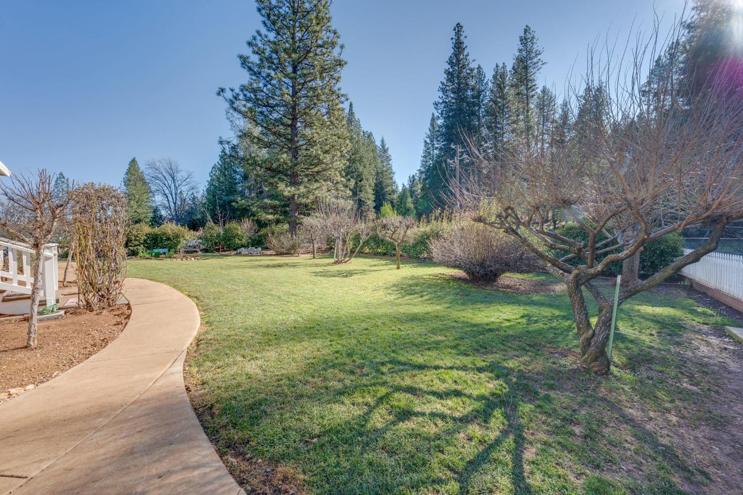 3217 Pleasant Valley Road Placerville, CA 95667 - Photo 10 of 69