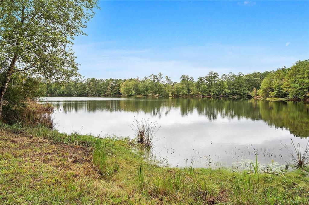 81469 Ben Williams Road Bush, LA 70431 - Photo 3 of 30 Gallery Image 3