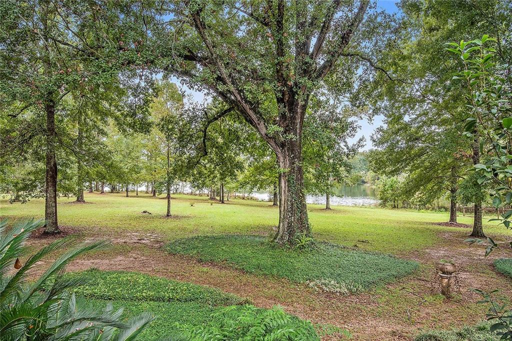 81469 Ben Williams Road Bush, LA 70431 - Photo 4 of 30 Gallery Image 4
