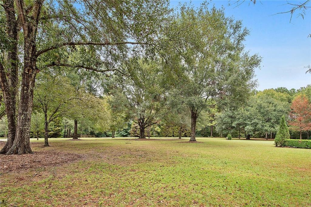 81469 Ben Williams Road Bush, LA 70431 - Photo 6 of 30 Gallery Image 6