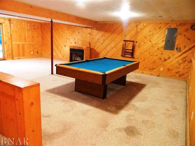 12954 Solomon Road Dewitt, IL 61735 - Photo 14 of 30