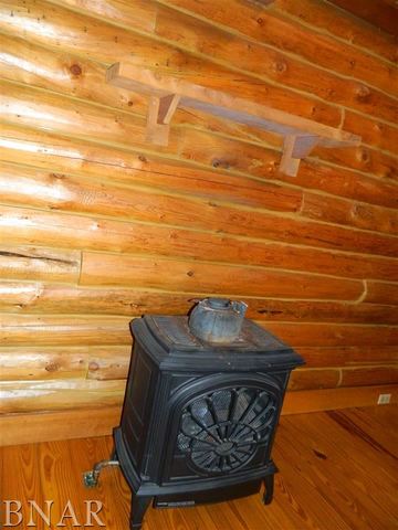12954 Solomon Road Dewitt, IL 61735 - Photo 28 of 30