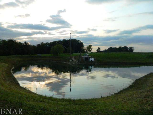 12954 Solomon Road Dewitt, IL 61735 - Photo 8 of 30