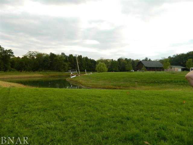 12954 Solomon Road Dewitt, IL 61735 - Photo 9 of 30