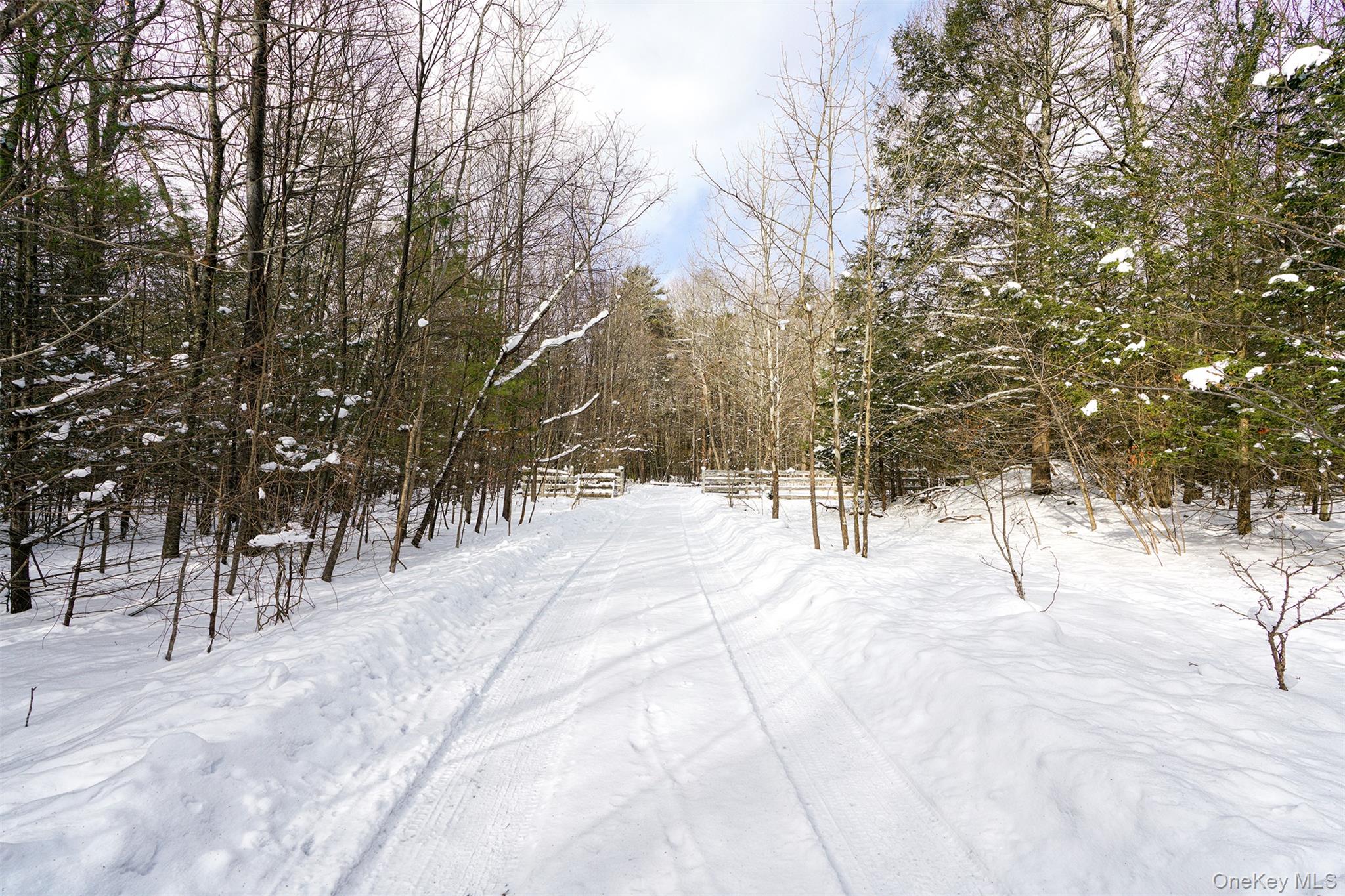 65 Cobble Creek Road Saugerties, NY 12477 - Photo 3 of 42