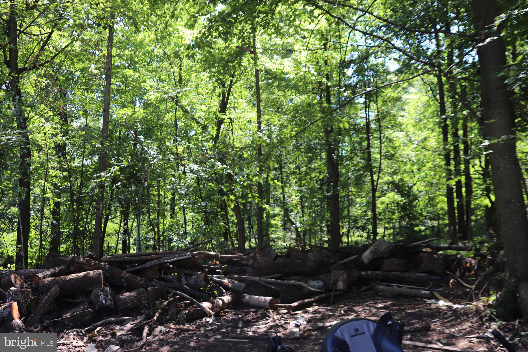 1395 J Green Ridge Road Orrtanna, PA 17353 - Photo 11 of 11 Plenty of firewood
