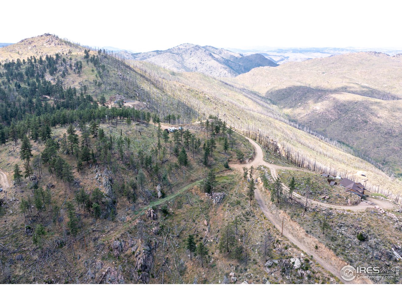 0 Stratton Park Road Bellvue, CO 80512 - Photo 1 of 10 a view of a dry yard