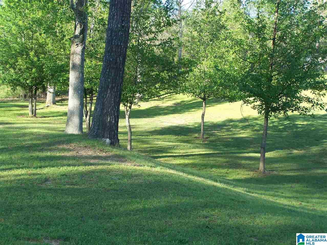 162 Toadvine Road Bessemer, AL 35023 - Photo 36 of 40 Gallery Image 36