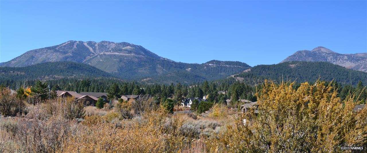 a view of a lush green field with mountains in the background