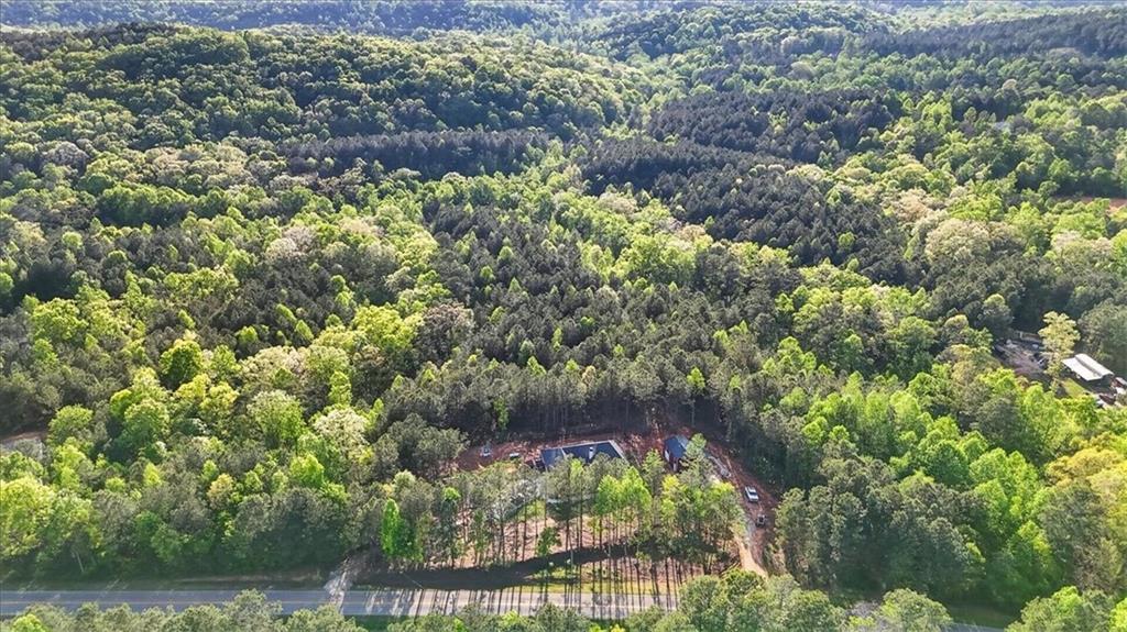 3315 Big Ridge Road Talking Rock, GA 30175 - Photo 48 of 53