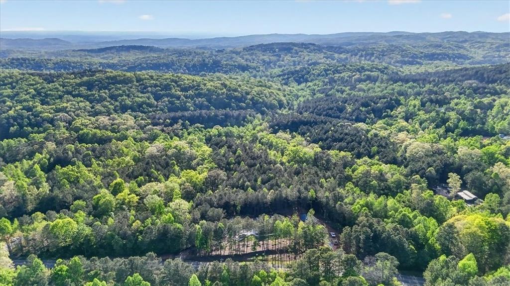 3315 Big Ridge Road Talking Rock, GA 30175 - Photo 49 of 53