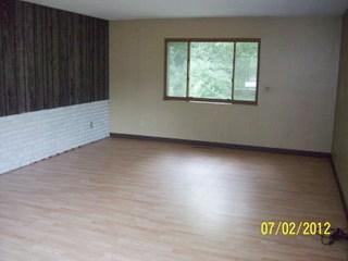 745 East Pakes Road Stanton, MI 48888 - Photo 4 of 13 Additional Photo