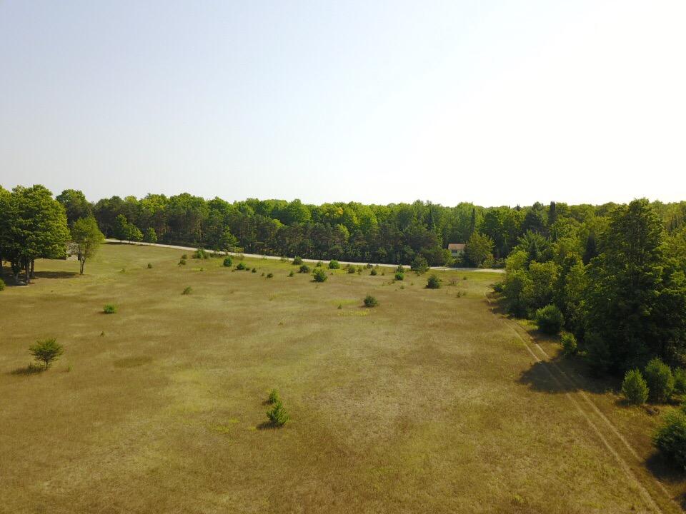 0 Brady Road Onaway, MI 49765 - Photo 22 of 28 Gallery Image 22