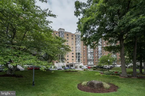a garden with trees in front of it