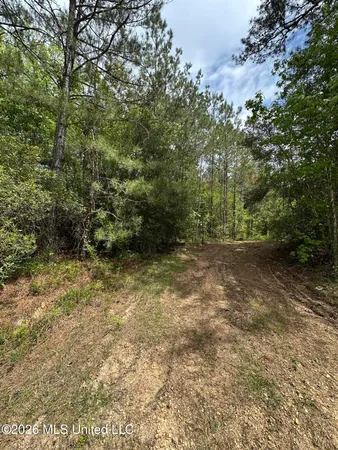 $150,380 | 1873 F E Sellers Highway, Monticello, MS 39654