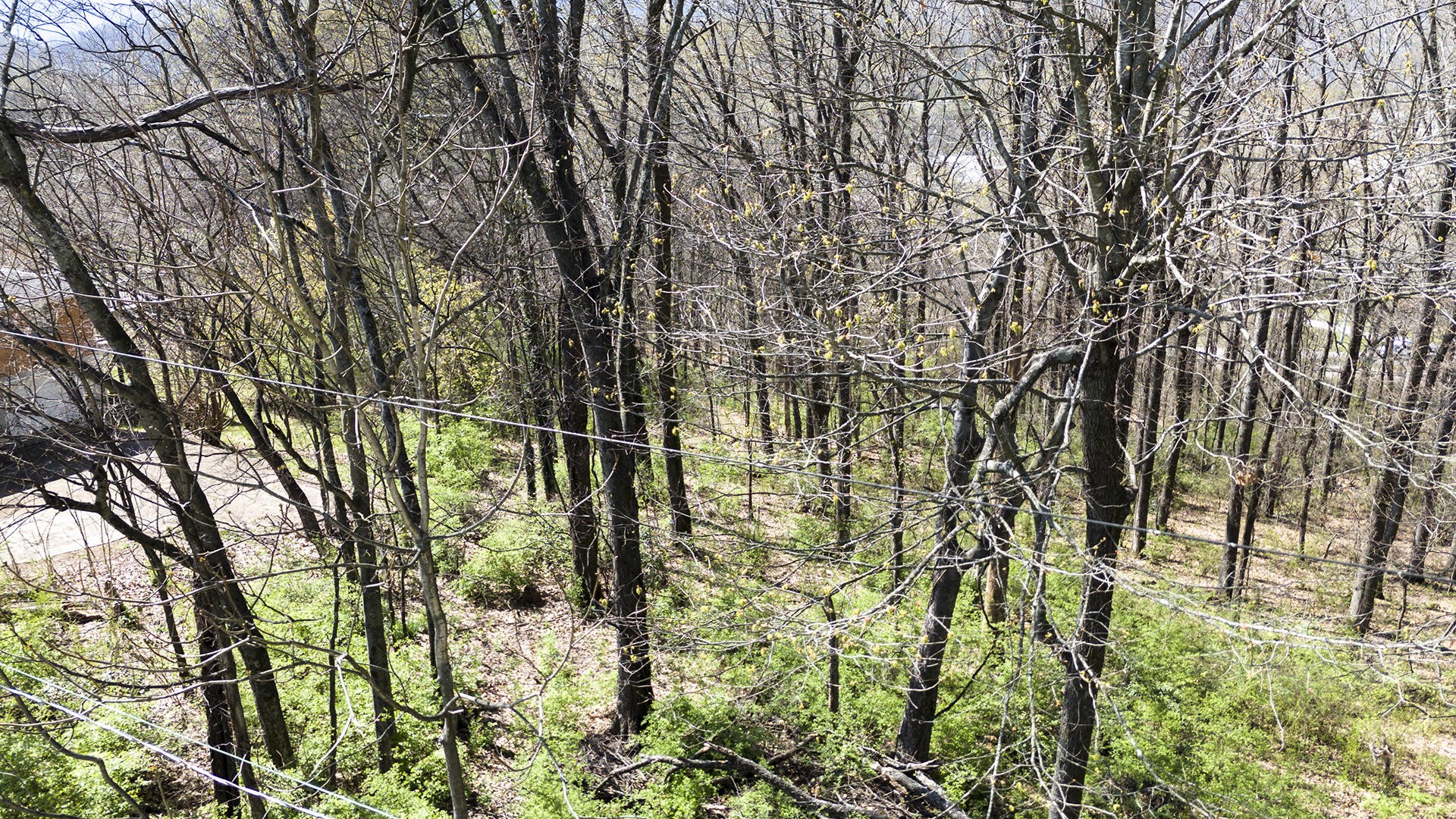 281 Whitehall Road Chattanooga, TN 37405 - Photo 9 of 17 Gallery Image 9