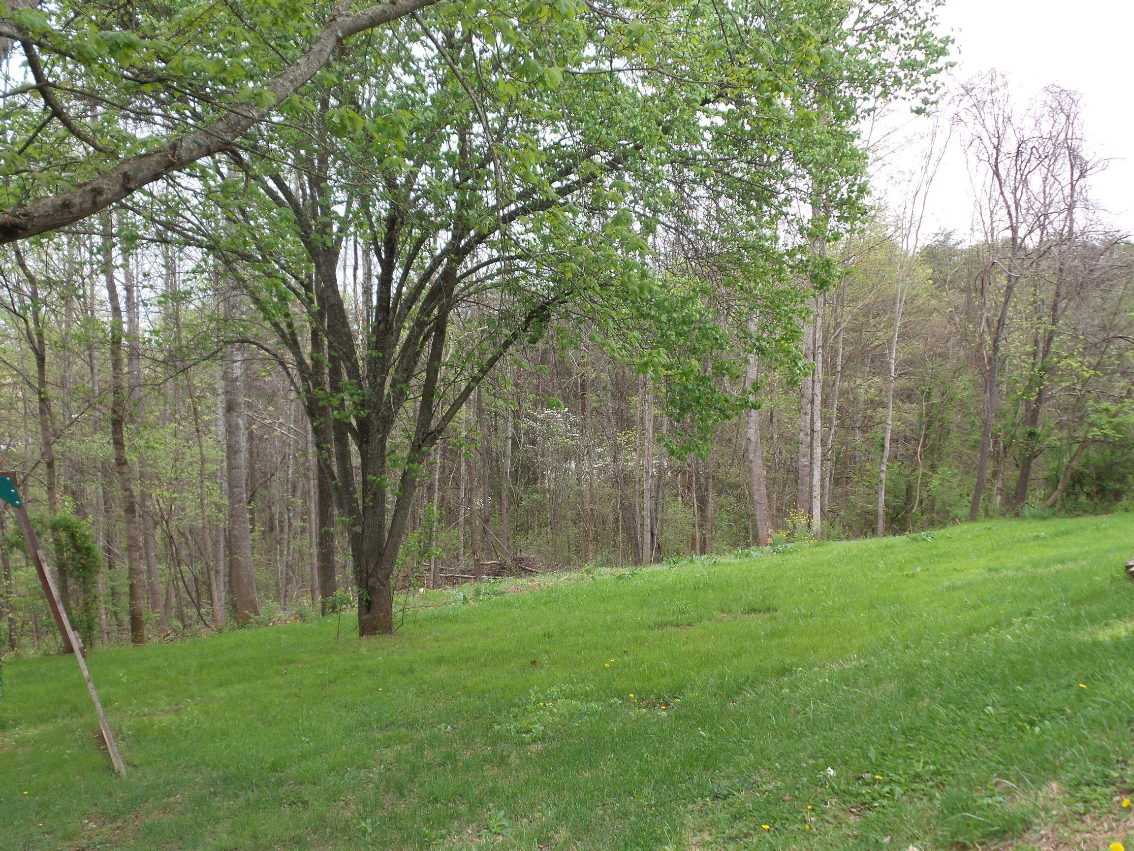 1140 Middle Ridge Road Sevierville, TN 37862 - Photo 37 of 39 20150410_090156