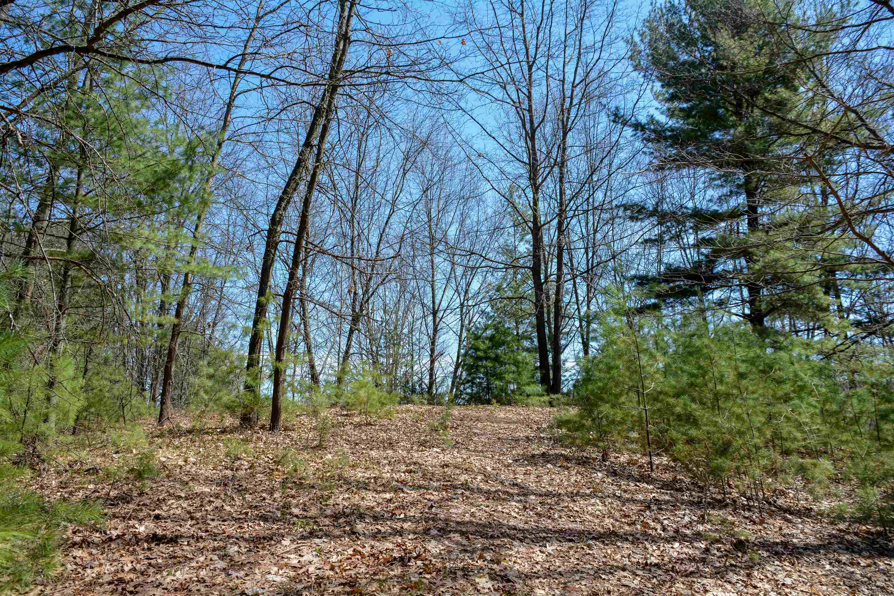 0 North Four Mile Road Traverse City, MI 49696 - Photo 11 of 28 1929852-706bb1fe-108d-48a5-800c-7dc4f9070300.JPG