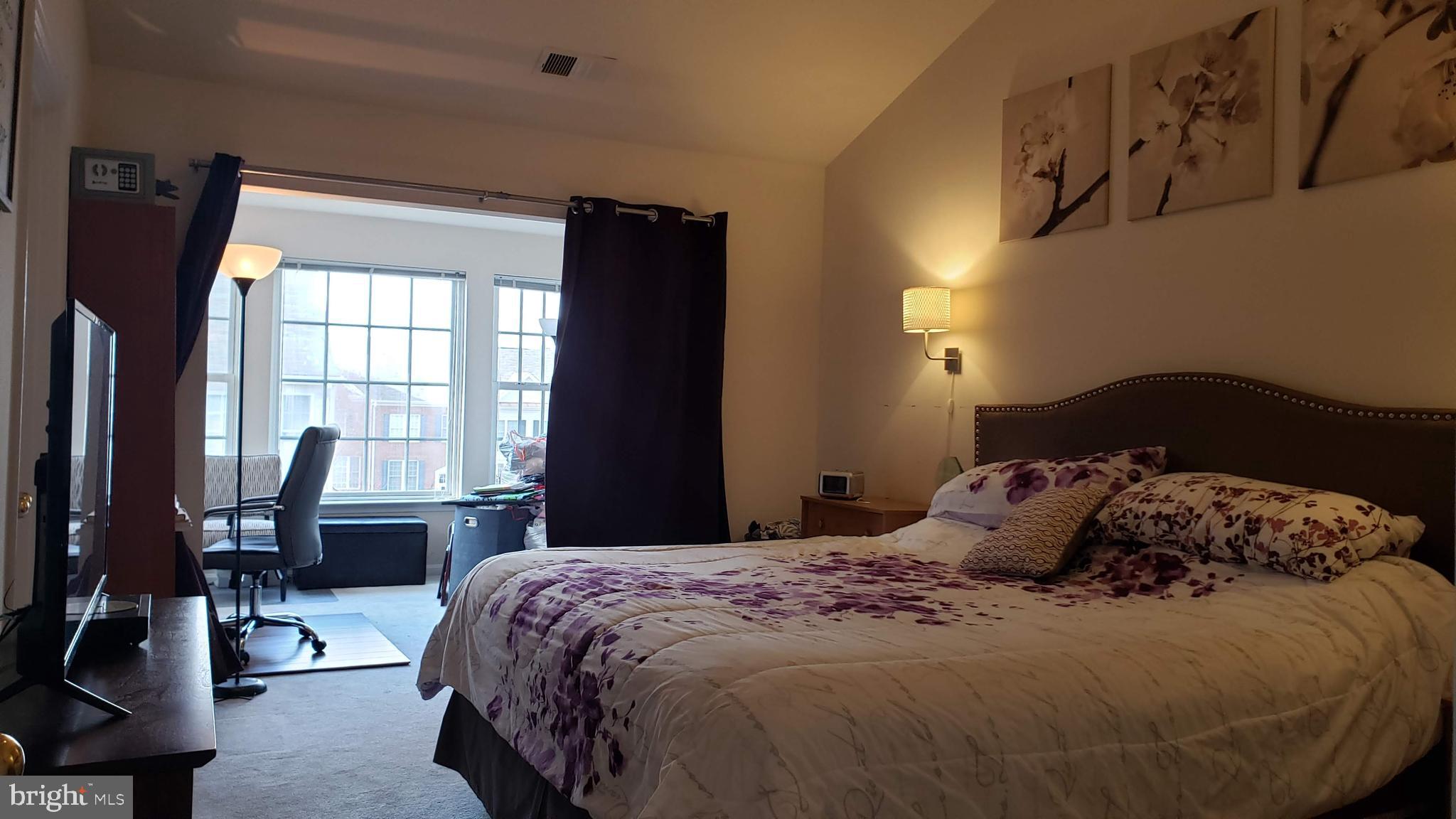 9841 Cheshire Ridge Circle Manassas, VA 20110 - Photo 11 of 29 Main Bedroom with sitting room, cathedral ceilings