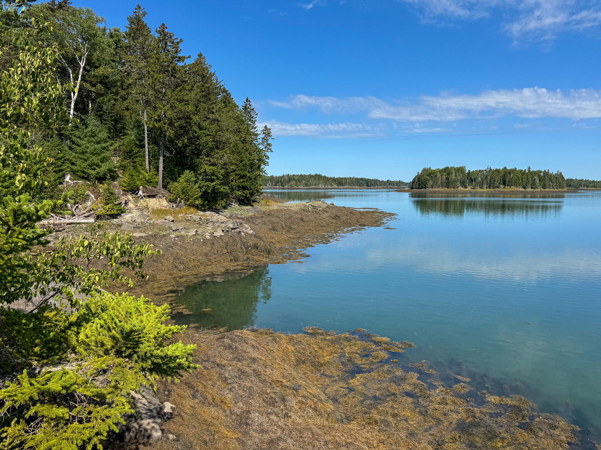 255 Coffins Neck Road Lubec, ME 04652 - Photo 9 of 37 9