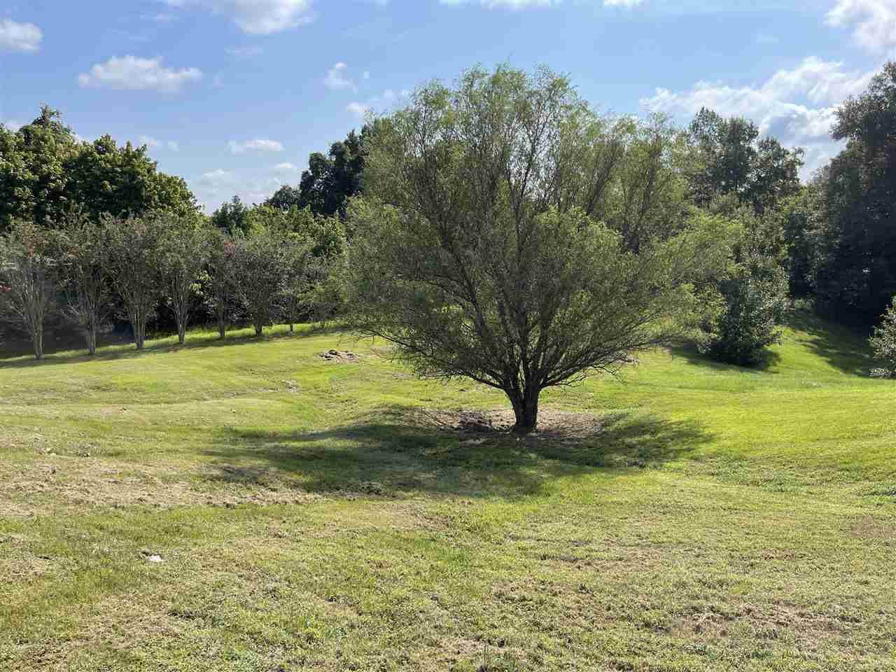 2569 Ridge Road Yazoo City, MS 39194 - Photo 33 of 46 Photo 33