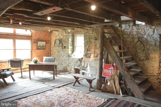 a view of a yard with plants and a bench